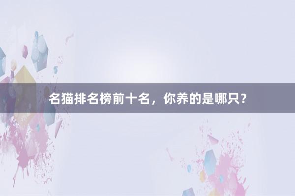 名猫排名榜前十名,你养的是哪只?